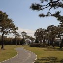 홍주의사총 이미지