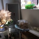 디바노래연습장 이미지