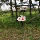 버드나무캠핑장 | 군산 버드오토캠핑장 솔직 후기 | A4 사이트 후기 | 아니 근데 진짜 왜이리 깨끗해