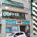 브래드씨 이미지