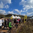 광천리 | 11월 이색 마라톤 러닝 영월 옥수수런 참여후기