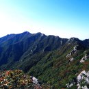 신도안주민센터 | 계룡산 -자연 속으로-