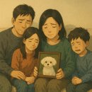 수목원동물병원 | 창원반려동물장례식장추천_사랑을담은마지막배웅_합리적장례비15kg미만20만원