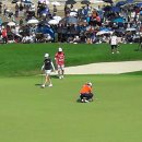 베스트 골프클럽 이미지