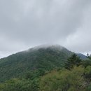 내동리2 소교량 21 | 산행후기_mr.j 38 지리산 뱀사골 ↔ 화개재 ↔ 삼도봉 5