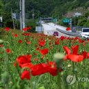 인제할인마트 연합뉴스