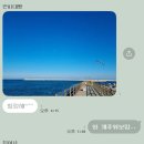 안지콩
