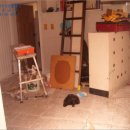 사림동103 이미지