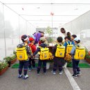 나비공원　 이미지