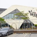 교동닭갈비 이미지