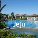 라라스테이션 | 제주신라호텔 수영장 더파크뷰 애플망고빙수 솔직 후기