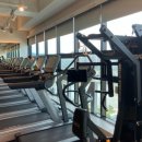 블리스피트니스 이미지