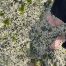 천지목장(2) 이미지