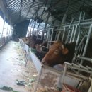 태웅농장 이미지