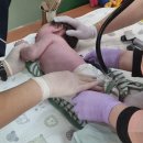 한앤김내과의원 | 신생아 육아일기. bcg b형간염2차 동시접종. 이천 한앤김소아과. 산후도우미 마지막날. 부부 육아관...