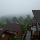 평창송어횟집 이미지