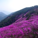 북면~칠보 이미지
