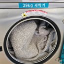 셀프빨래방 아쿠아워시 의정부민락점사용후기