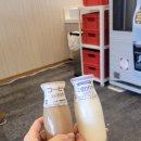 포카포카 이미지