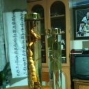 옥천 태권도장 이미지