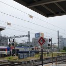 H1563 이미지