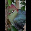 태성공인중개사사무소 이미지