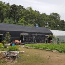 재경농장 이미지