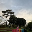 봄정원디자인 | [순천 여행 가볼만한 곳] 새로 바뀐 순천만정원 후기 &amp; 입장료