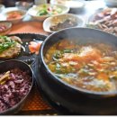 오라숲소리 이미지