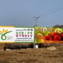 원팜