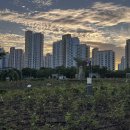 푸른현대주유소 이미지