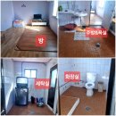 오크밸리민박펜션 | 덕적도 애견동반가능 숙소(마당있는 독채 민박 1층) 알려드릴께요~♡