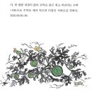 양민주 이미지