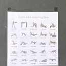 대방스포츠센타 이미지