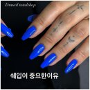 네일;새로움