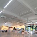 멍디브 | [광주 북구] 자정까지 뛰뛰할 수 있는 애견계의 몰디브! 본촌동 애견카페 멍디브를 가다!