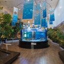 간전중앙로 이미지