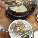 콘이,코니하우스 이미지