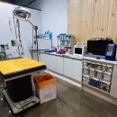 함께하는동물병원 이미지