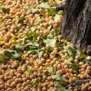 송동로-9 이미지