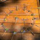 꽃내음풀내음해돋이유치원 이미지