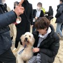 유복 이미지