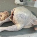 닭이랑 | 삼계탕 백숙 만들기: 필요한 설명만 앙딱정. 닭이랑 싸운 후기