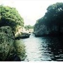 과원동로 이미지