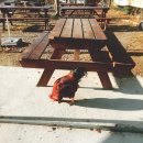 서산기쁨농장 | 170226 동생과 놀기, 서산여행