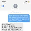 알로하도그 이미지