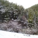 시골놀이터 이미지