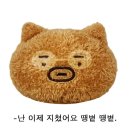 조인국제결혼 | [6-7월 일상] 20250630-0706 주간일기: 나 언제 쉬어요,,,,