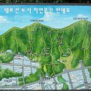 강남-293 이미지