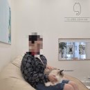 캣플헤븐 AK플라자금정점 | 금정고양이카페 금정캣카페 금정데이트장소 "캣플헤븐 AK플라자 금정점"